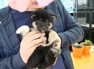포토리뷰