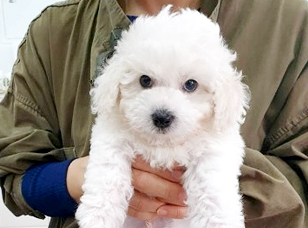 포토리뷰