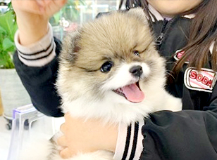 포토리뷰
