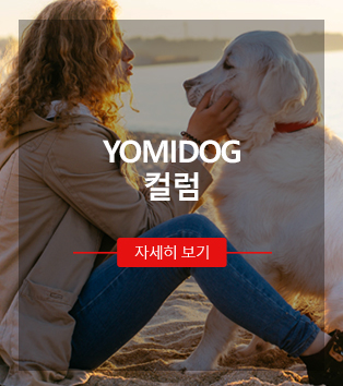 칼럼1