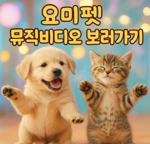네이버 요미독앤캣