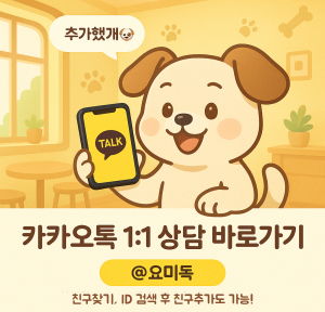 카카오톡상담
